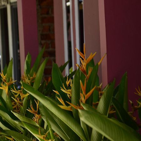 Baronda Guest House Sorong Luaran gambar