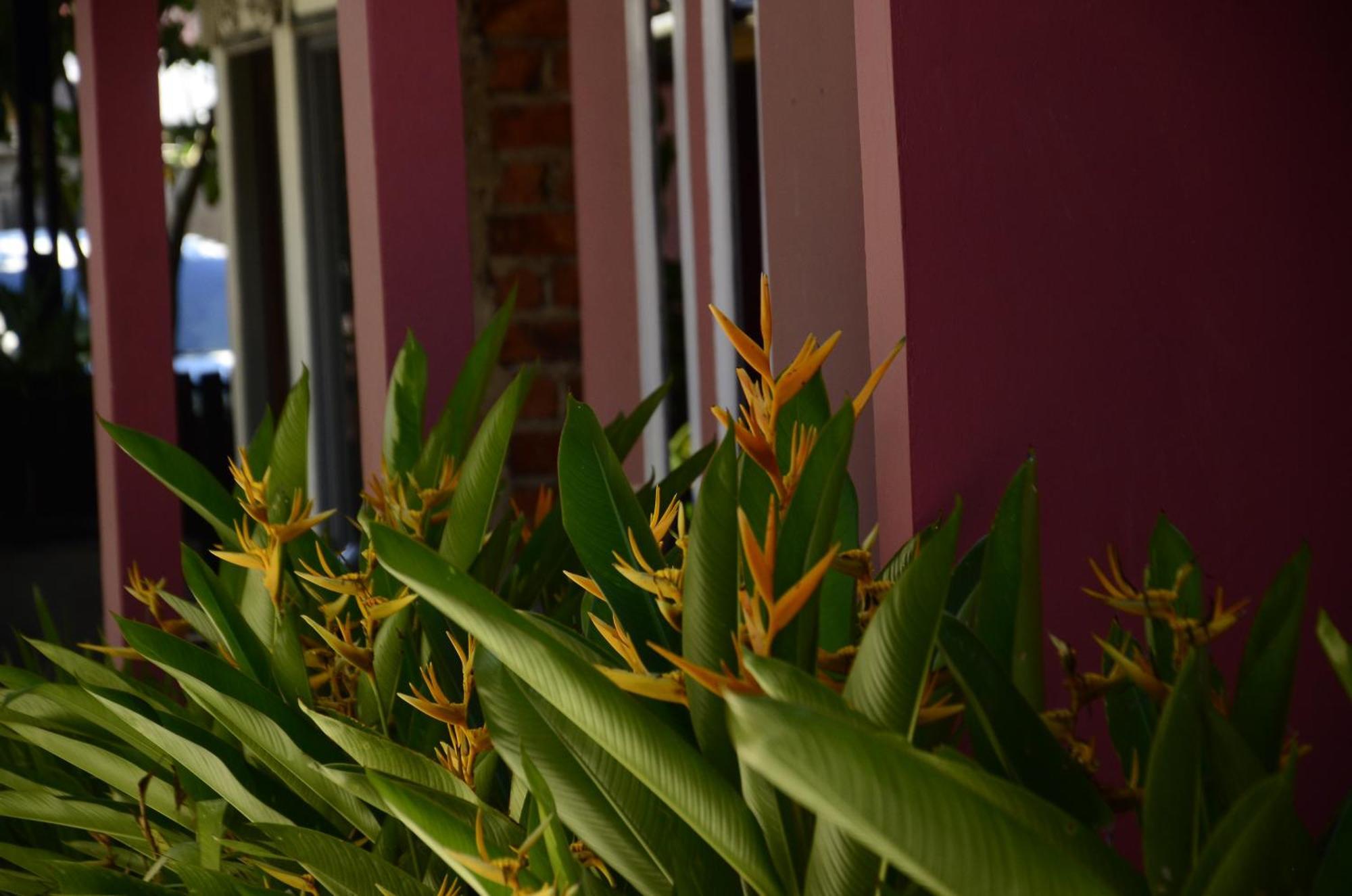 Baronda Guest House Sorong Luaran gambar