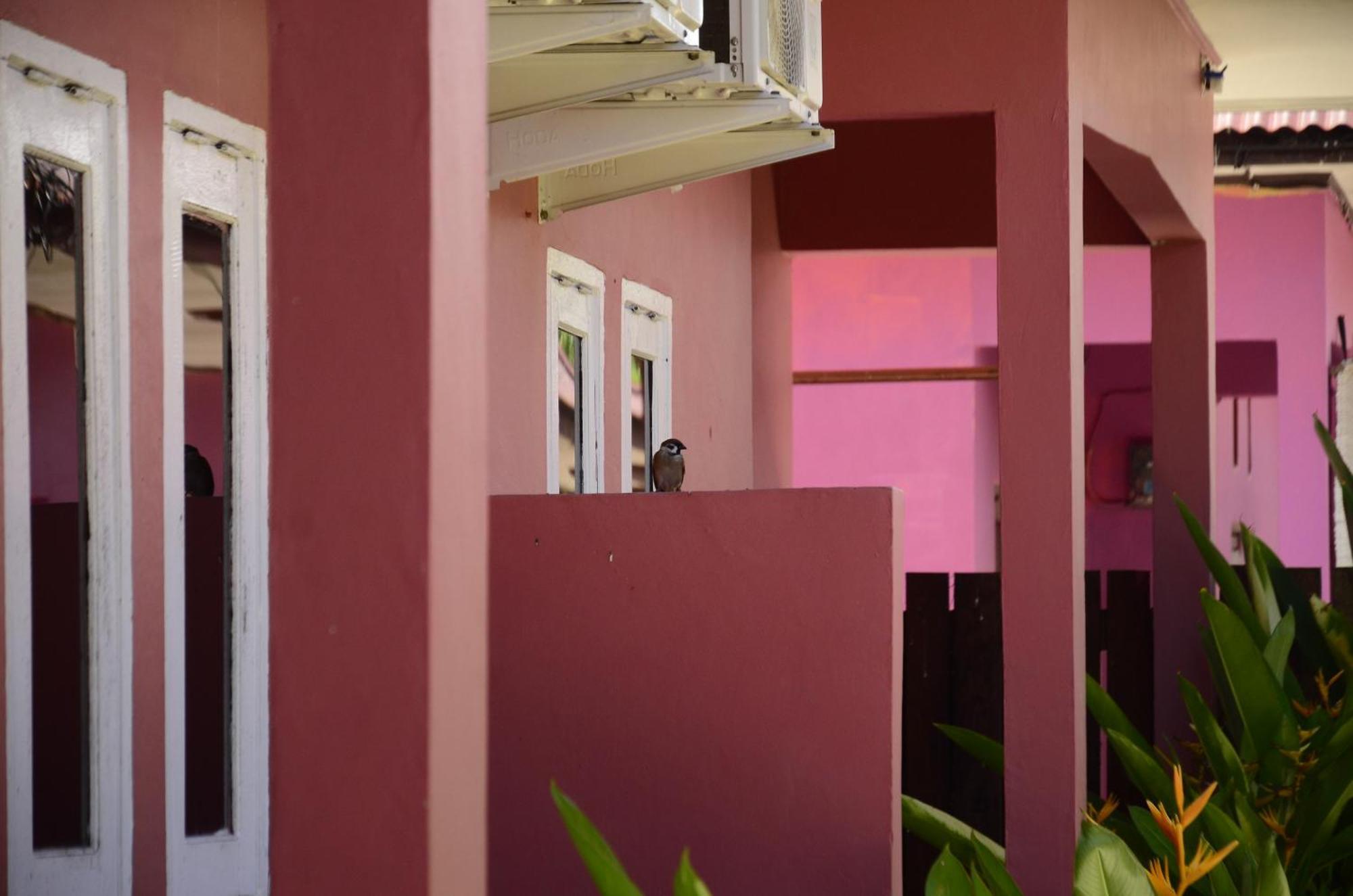 Baronda Guest House Sorong Luaran gambar